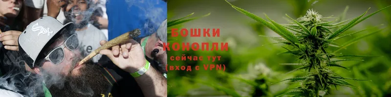 Каннабис SATIVA & INDICA  Кольчугино 